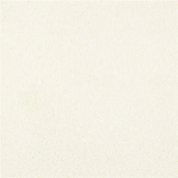 A close-up shows the Oceanside Family Friendly Carpet in Palm Coast—a smooth, off-white surface with a subtle, fine texture and no visible patterns or objects.