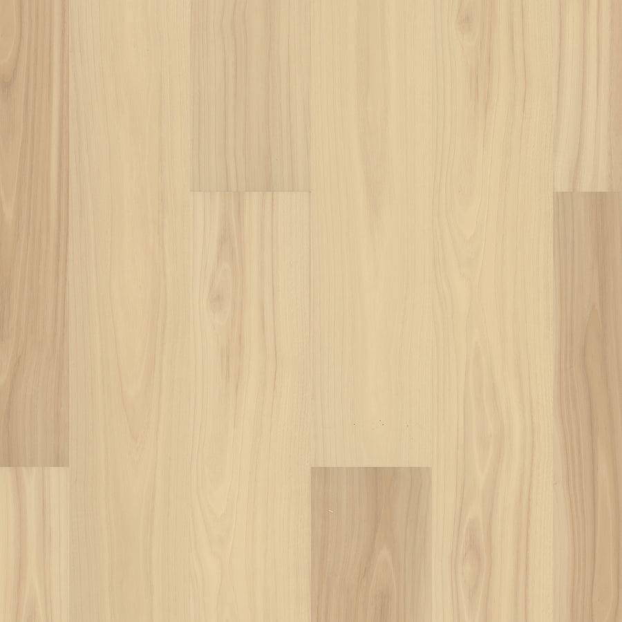 Pantheon HD Plus 7" Vinyl features a light wood-look finish with natural grain patterns, premium durability, subtle tonal variations, and occasional rectangular plank seams for an authentic hardwood appearance.