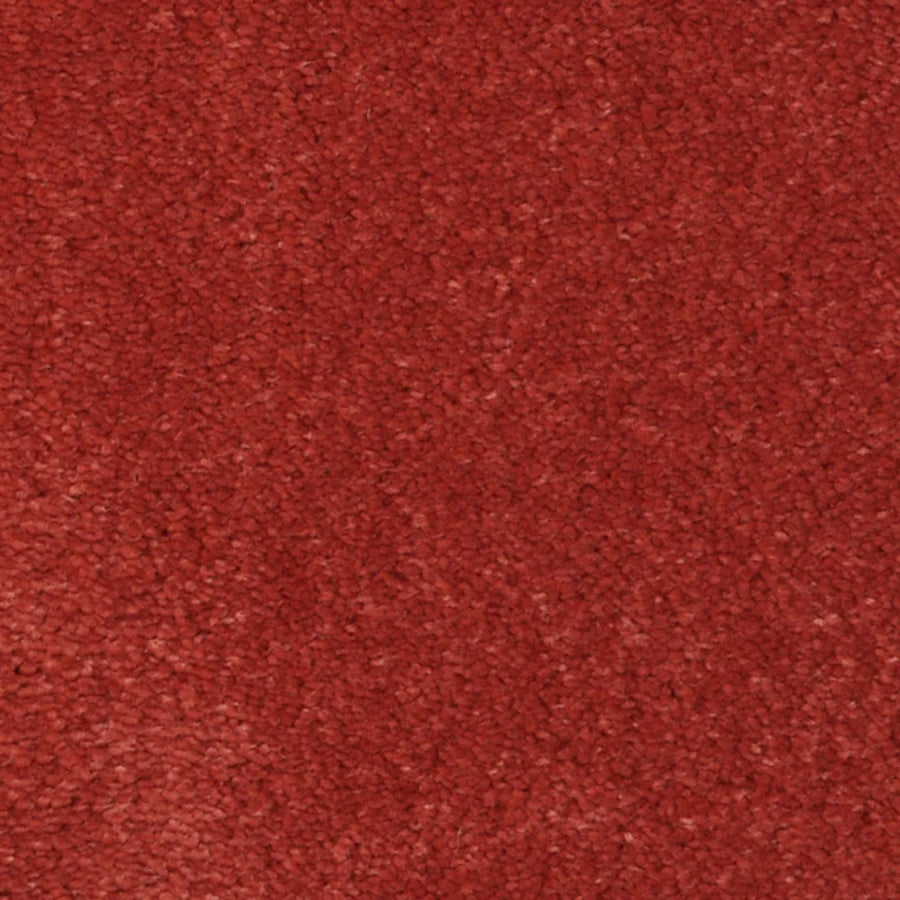 Close-up of the Seduction On Trend Carpet in Paprika, highlighting its soft, textured surface with dense fibers and a rich, even red hue.