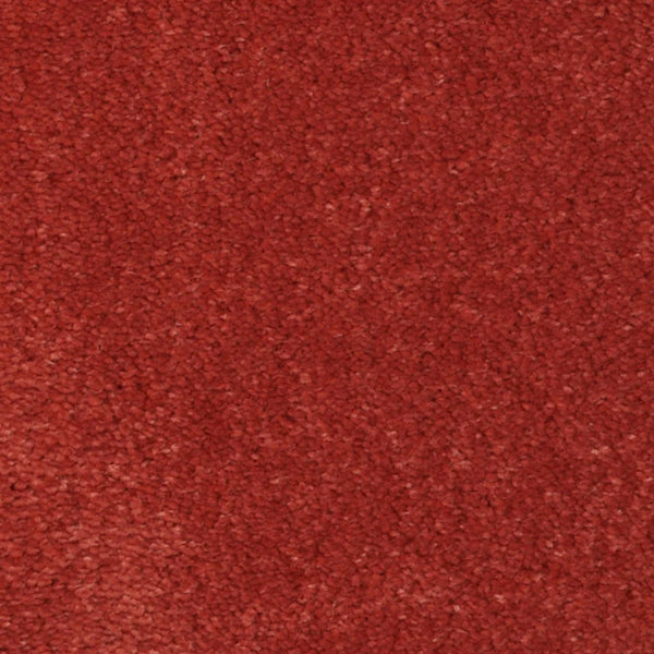 Close-up of the Seduction On Trend Carpet in Paprika, highlighting its soft, textured surface with dense fibers and a rich, even red hue.