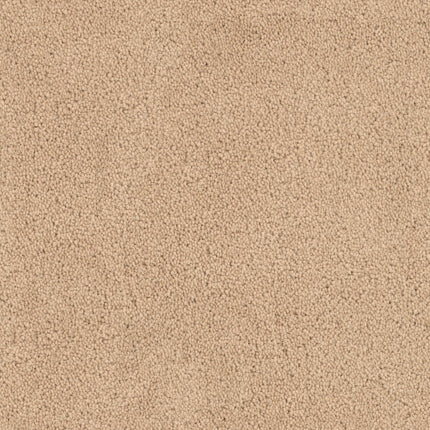Close-up of Tribute Family Friendly Carpet in Papyrus—a light beige, stain-resistant carpet with a soft, even surface and small, tightly woven fibers—ideal for family spaces.