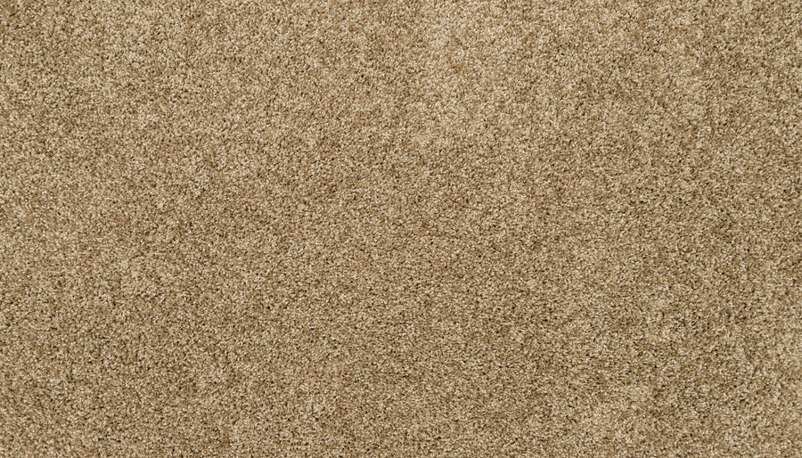 A close-up of Furocious I Pet Friendly Carpet reveals its beige, dense, and soft fibers. The plush texture adds comfort and style, making it an appealing, clean, and uniform choice for interior design.