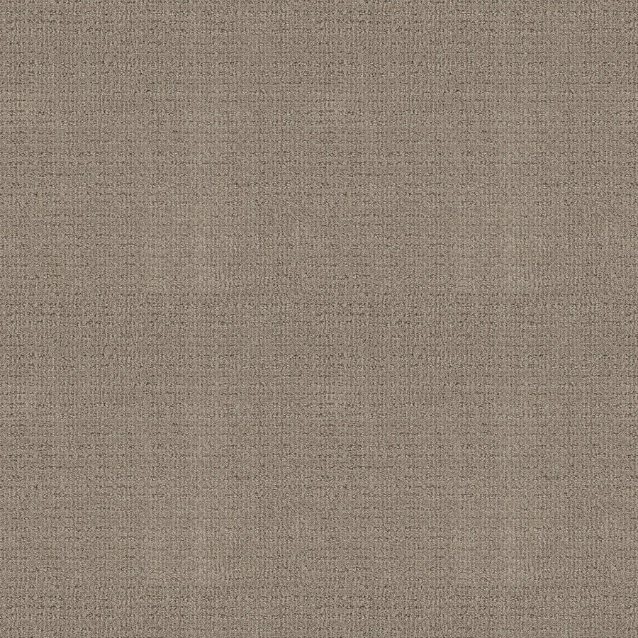 A close-up of Sierra Vista Pet Friendly Carpet in Park Avenue, showing its textured beige surface with a subtle woven pattern—ideal for durable, modern flooring in contemporary interiors.