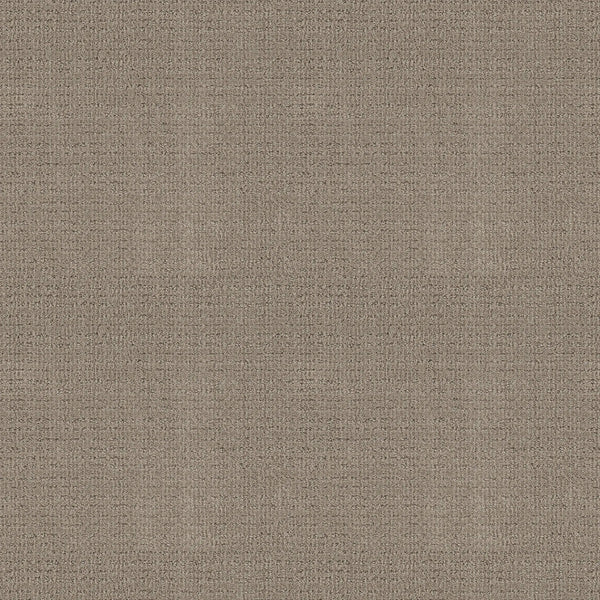 A close-up of Sierra Vista Pet Friendly Carpet in Park Avenue, showing its textured beige surface with a subtle woven pattern—ideal for durable, modern flooring in contemporary interiors.