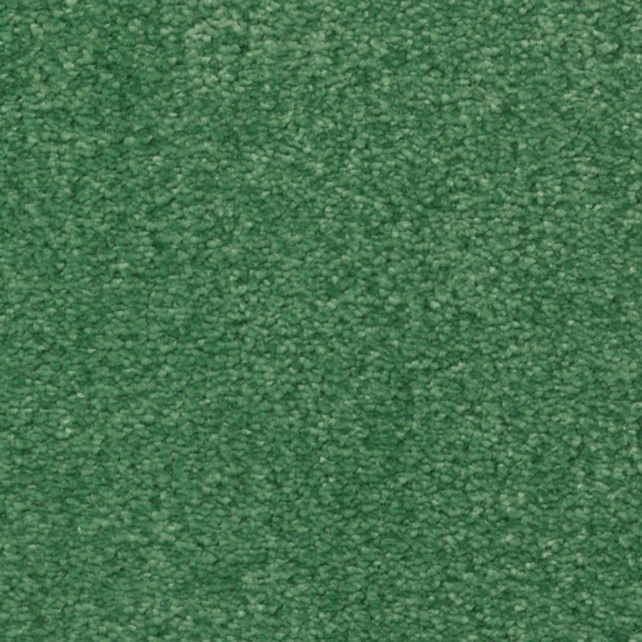 Close-up of Seduction On Trend Carpet in Park Bench color, showing a uniform, tightly woven texture with small, looped fibers. The dense, soft surface highlights the carpet’s luxurious durability and rich green appearance.