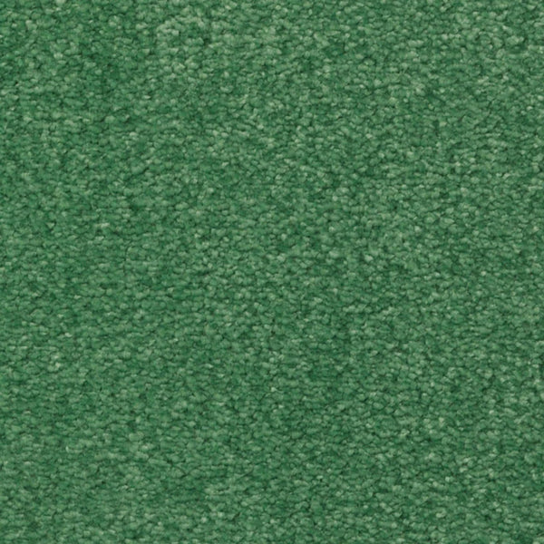 Close-up of Seduction On Trend Carpet in Park Bench color, showing a uniform, tightly woven texture with small, looped fibers. The dense, soft surface highlights the carpet’s luxurious durability and rich green appearance.