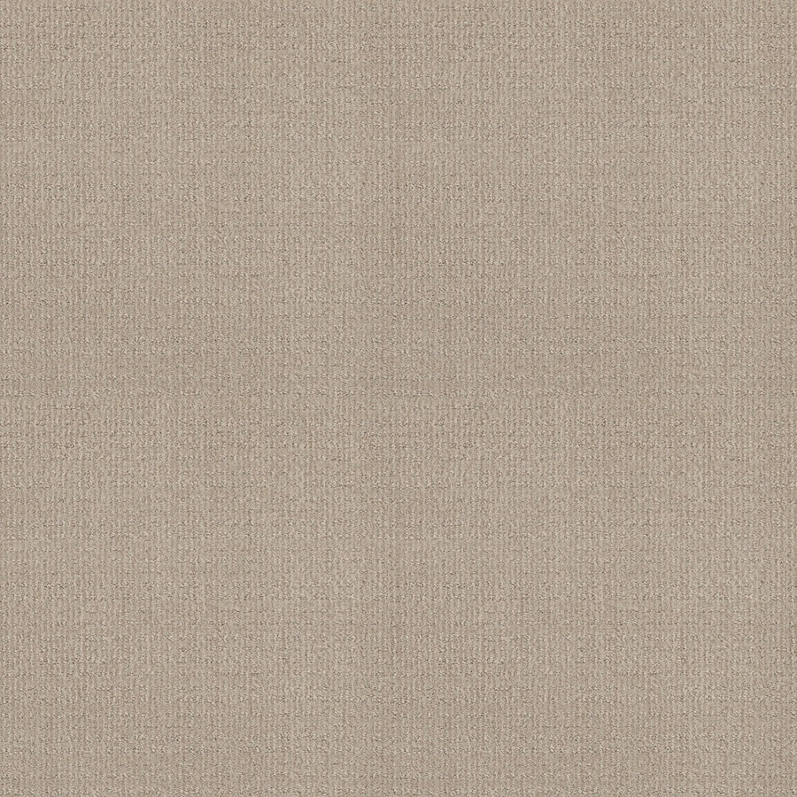 A close-up of Sierra Vista Pet Friendly Carpet in Passageway shows its textured beige fabric with a subtle, even weave pattern, creating a contemporary look that's soft and comfortable underfoot.