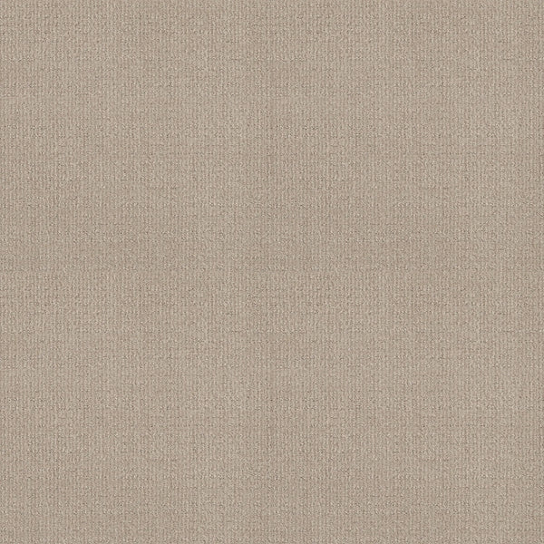 A close-up of Sierra Vista Pet Friendly Carpet in Passageway shows its textured beige fabric with a subtle, even weave pattern, creating a contemporary look that's soft and comfortable underfoot.