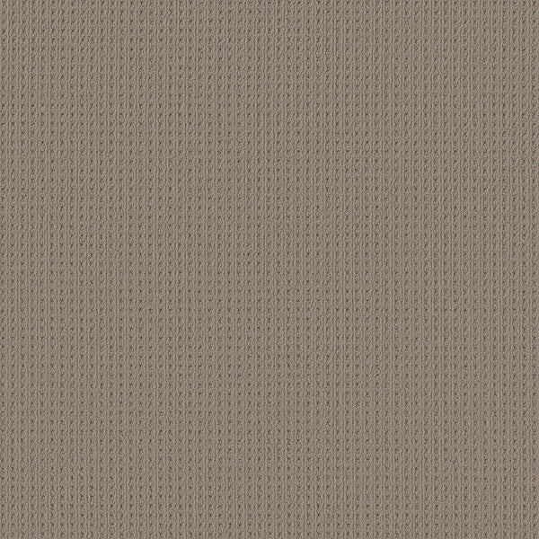 Close-up of San Lucas Family Friendly Carpet in Pavestone color, featuring a textured beige surface with a vertical ribbed knit pattern—perfect for high-traffic homes seeking durability and style.