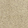 Pebble Mosaic