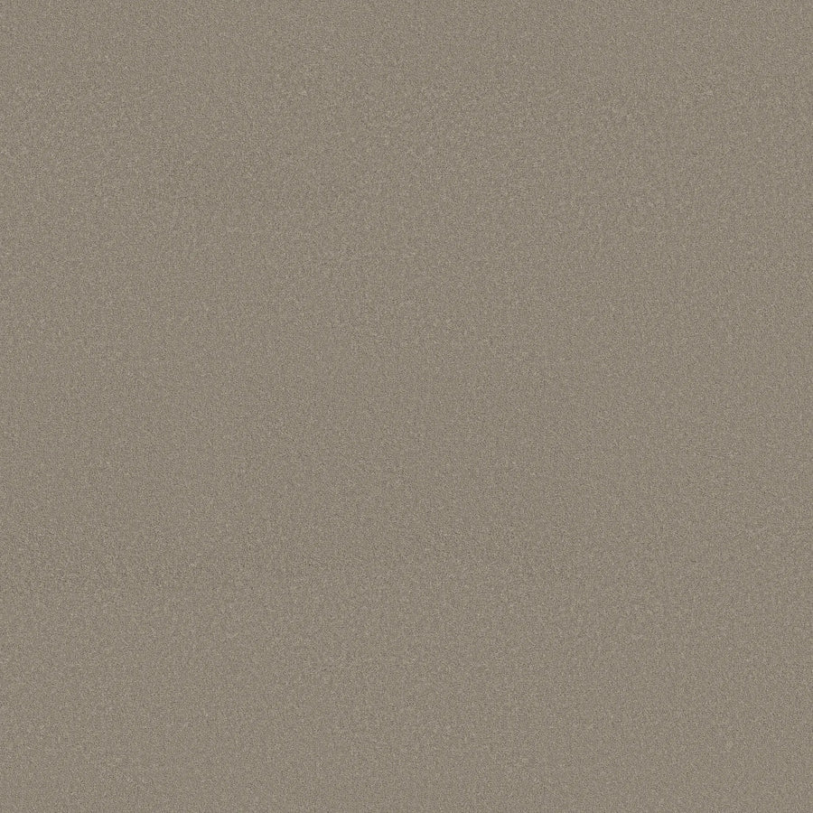 A close-up of the Smooth Tone Blue Pet Friendly Carpet in Pebble Path, showcasing its flat, sandy-toned surface with a smooth finish, uniform texture, and small, evenly spread grains in shades of beige and light brown.