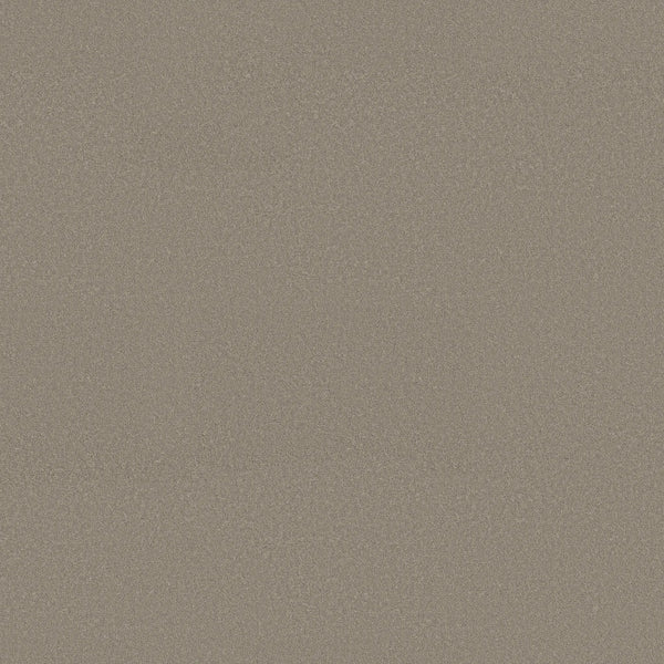 Close-up of Smooth Tone Pet Friendly Carpet in Pebble Path—features a flat, even surface with fine, light brown grains for subtle texture, combining durability and a soothing look ideal for everyday life with pets.