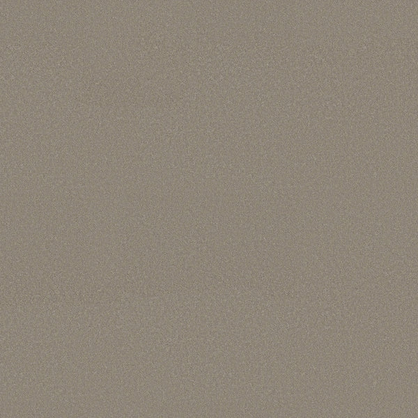 A close-up of Classic Tone Pet Friendly Carpet in Pebble Path shows tightly packed, sandy beige and light brown fibers, offering a durable surface that is both pet friendly and stain resistant.