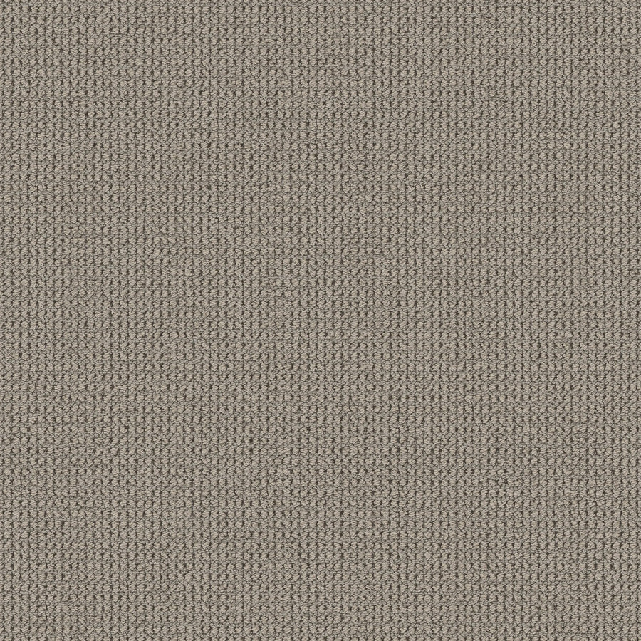 Close-up of Knitted Tone Pet Friendly Carpet in Pebble Path—a beige, tightly woven surface with a subtle texture. Made from premium materials, it's uniform and slightly rough—perfect for luxury flooring in high-traffic areas.