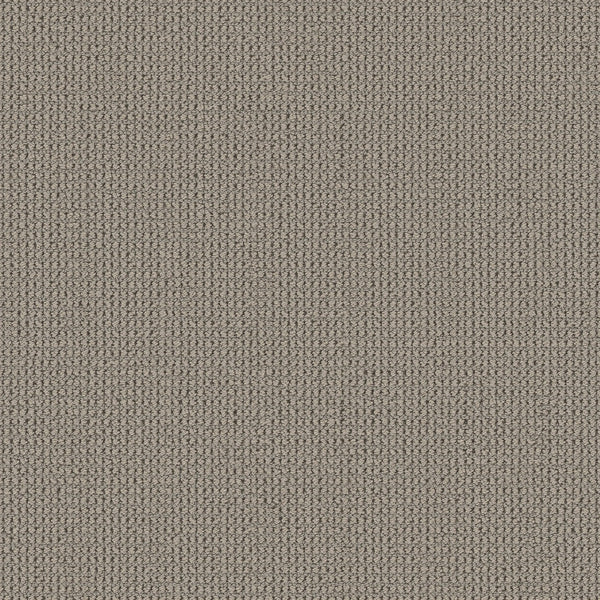 Close-up of Knitted Tone Pet Friendly Carpet in Pebble Path—a beige, tightly woven surface with a subtle texture. Made from premium materials, it's uniform and slightly rough—perfect for luxury flooring in high-traffic areas.