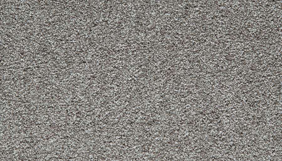 Close-up of a textured, Pebble Trail Cozy Companion Pet Friendly Carpet surface with tightly woven fibers, creating a soft and uniform appearance that embodies the plush comfort and durability expected in a quality carpet.