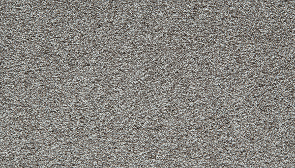 Close-up of a textured, Pebble Trail Cozy Companion Pet Friendly Carpet surface with tightly woven fibers, creating a soft and uniform appearance that embodies the plush comfort and durability expected in a quality carpet.