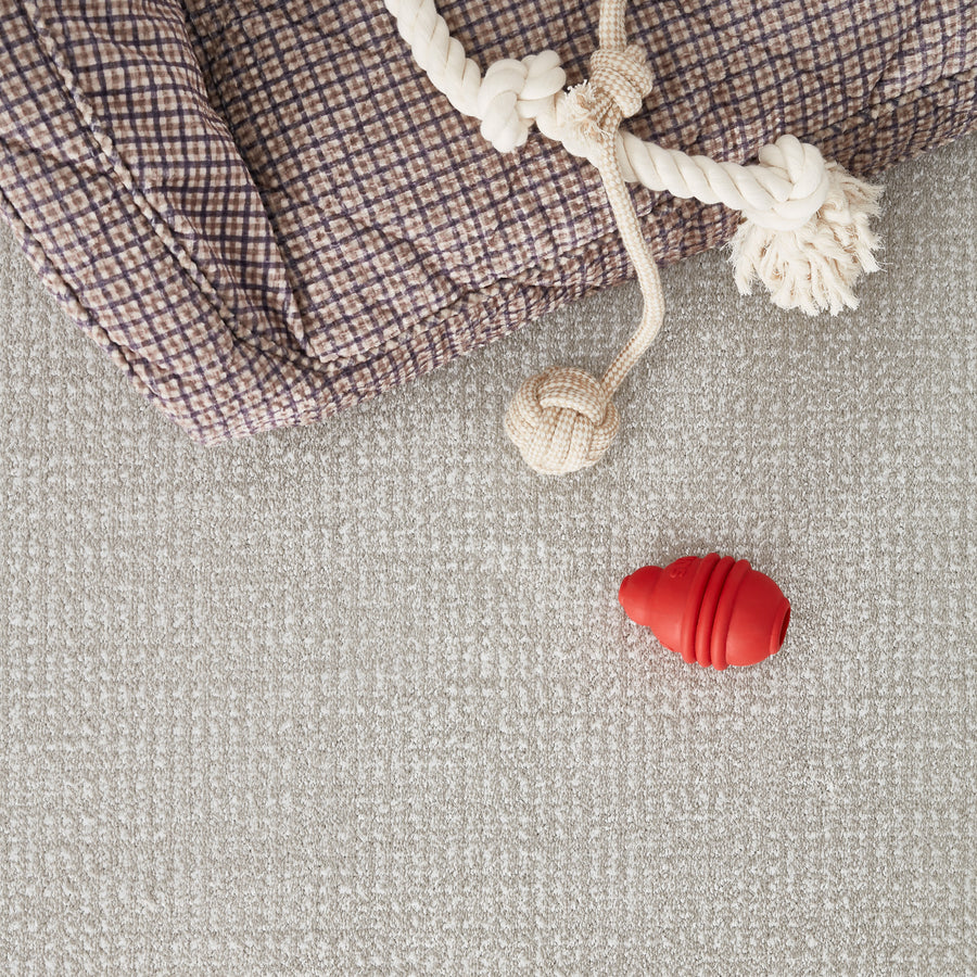 A purple checkered dog bed with a rope toy rests in the top left corner on a light gray textured carpet. A small red rubber dog toy lies nearby on the carpet.