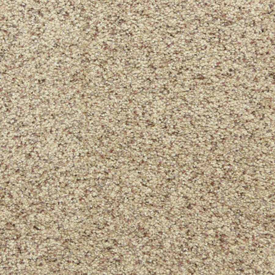 Close-up view of Maroon Bells Family Friendly Carpet in Pepper Spice, featuring a beige, textured surface with light brown and off-white fibers that create a soft, comfortable, and speckled pattern.