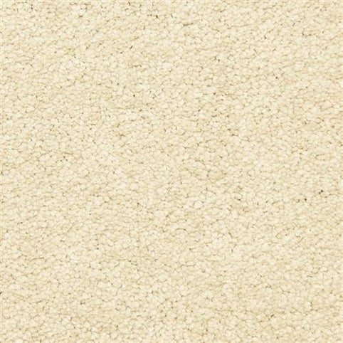 Close-up of Morgan Bay Family Friendly Carpet in Peppercorn—features tightly-packed, textured loops for a soft, uniform surface that's ideal for busy homes and high-traffic areas.