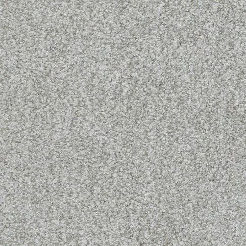 Close-up of Boca Raton Family Friendly Carpet in Persistent—a textured grey carpet with premium, densely packed fibers for a soft, plush, and uniform surface. Ideal for durable flooring solutions in busy households.