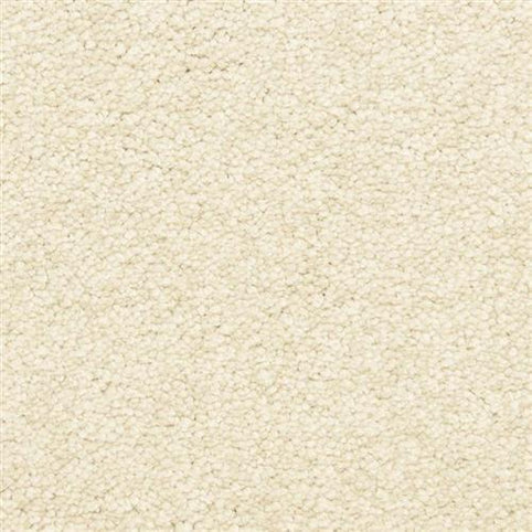 Close-up of Morgan Bay Family Friendly Carpet in Pewter, featuring a soft, looped pile surface and textured finish—ideal for high-traffic, family spaces.