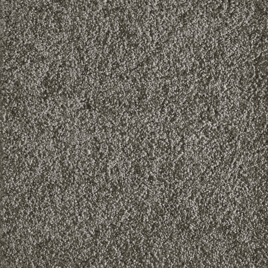 Close-up of the Jazzy Family Friendly Carpet in Pewter, showing its dense, soft pile and plush, uniform texture—perfect for elegant, high-traffic areas while highlighting the individual carpet fibers.