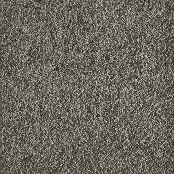 Close-up of the Jazzy Family Friendly Carpet in Pewter, showing its dense, soft pile and plush, uniform texture—perfect for elegant, high-traffic areas while highlighting the individual carpet fibers.
