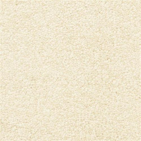 Close-up of the Morgan Bay Family Friendly Carpet in Pillar color, featuring a soft, looped pile and subtle fiber variations. Its even, textured surface is durable and ideal for high-traffic areas.