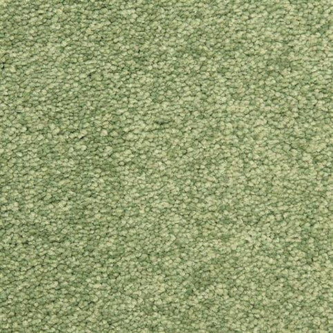 Close-up of Morgan Bay Family Friendly Carpet in Pine Grove—a green, stain-resistant, looped pile carpet with a uniform textured surface and subtle color variations, perfect for high-traffic, family spaces.