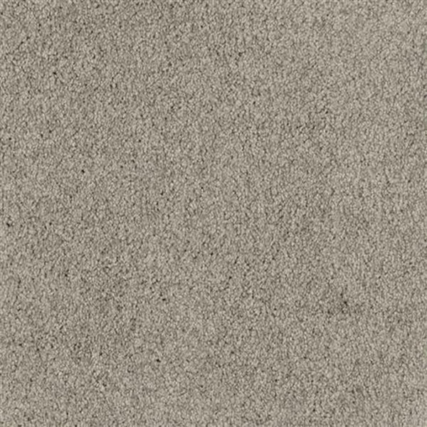 Close-up of Oceanside Family Friendly Carpet in Pirates Cove color, featuring a grey, textured surface with soft, plush, densely packed fibers for a uniform, cozy look—an ideal family-friendly choice.
