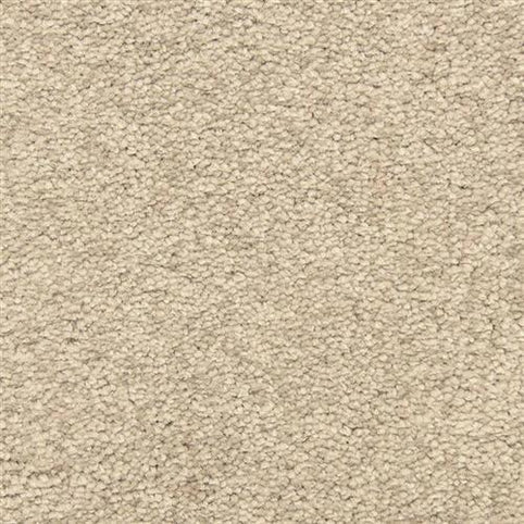Close-up of Morgan Bay Family Friendly Carpet in Plateau—a soft, stain-resistant beige with a dense, looped pile. The woven texture and neutral tone make it ideal for high-traffic, family-friendly areas.