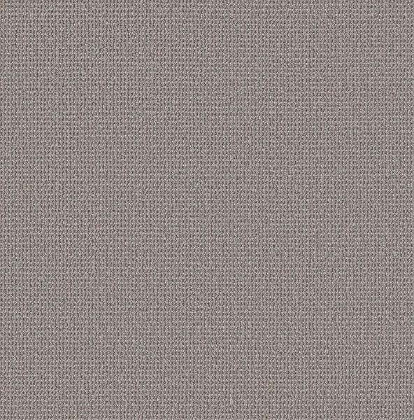 Close-up of the Purrfection Beber Carpet in Platinum, featuring a fine, even texture with small, tightly knit fibers. Its uniform pattern creates a smooth, consistent look and luxuriously plush feel.