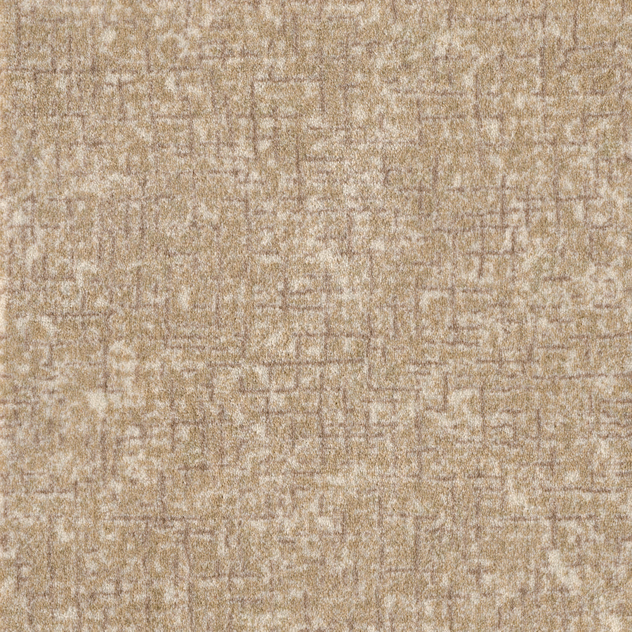 Pleasant Path On Trend Carpet in Hazel features beige and light brown textured fabric with a subtle, irregular grid pattern and soft, mottled look—ideal for contemporary spaces and trendy carpet styles.