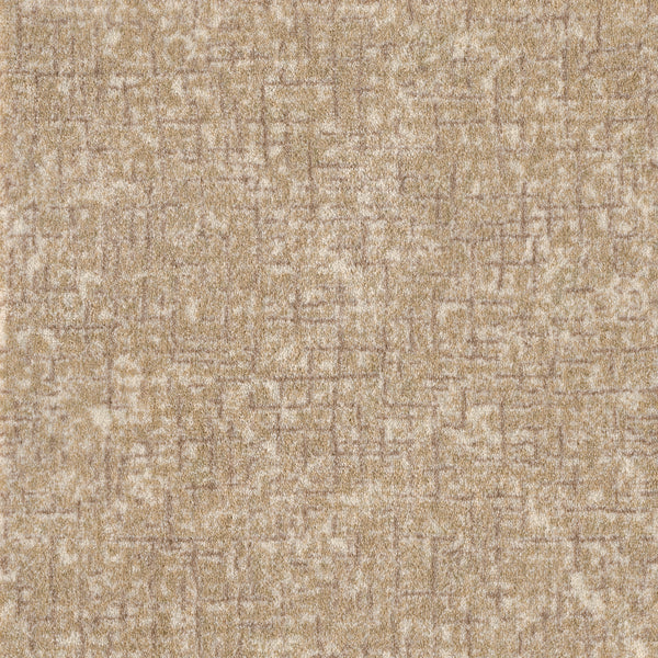 Pleasant Path On Trend Carpet in Hazel features beige and light brown textured fabric with a subtle, irregular grid pattern and soft, mottled look—ideal for contemporary spaces and trendy carpet styles.