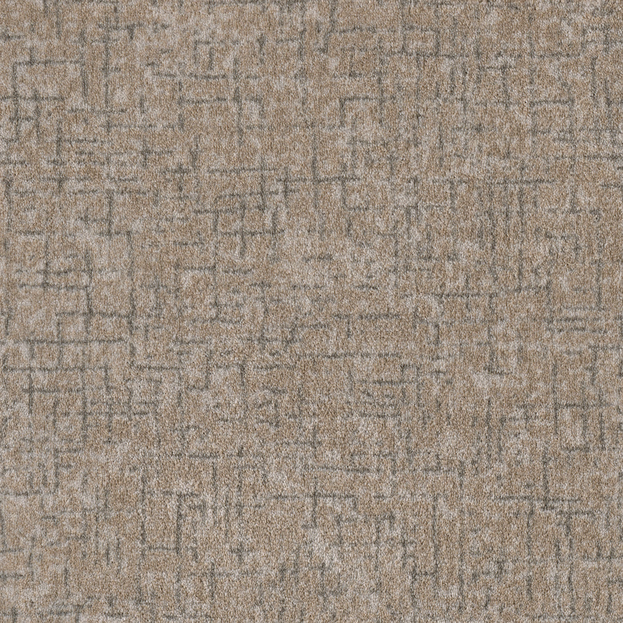 Close-up of Pleasant Path On Trend Carpet in Mushroom color, showcasing a soft, durable texture with an irregular abstract grid pattern in dark gray tones for a modern look.
