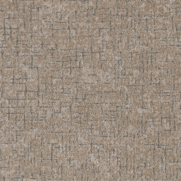 Close-up of Pleasant Path On Trend Carpet in Mushroom color, showcasing a soft, durable texture with an irregular abstract grid pattern in dark gray tones for a modern look.