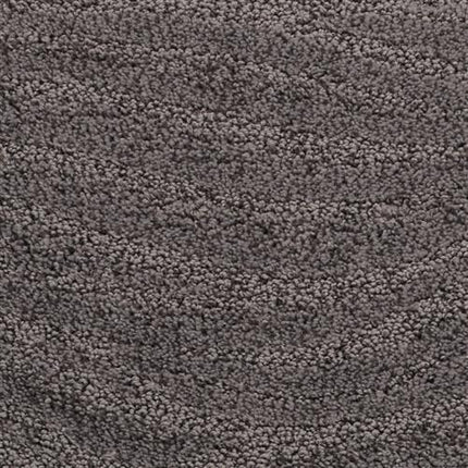Close-up of Taittinger On Trend Carpet in Plum Royale, showcasing a dense, soft looped pile and textured surface—luxurious, durable, and perfect for high-traffic areas.