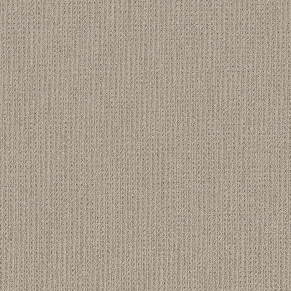 Close-up of San Lucas Family Friendly Carpet in Plymouth color, featuring a beige vertical ribbed knit texture with fine, evenly spaced lines—perfect for high-traffic, family-friendly homes.