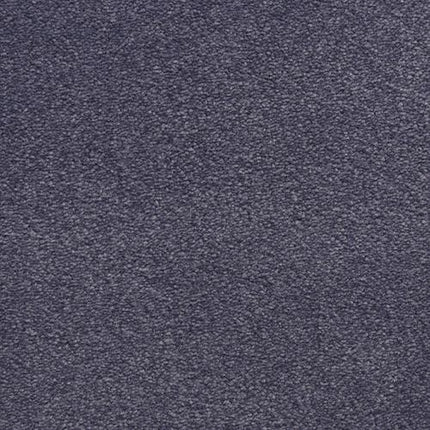 Close-up of the Grand Isle Family Friendly Carpet in Polar color, featuring a soft, slightly fuzzy textured surface with a solid, elegant appearance.