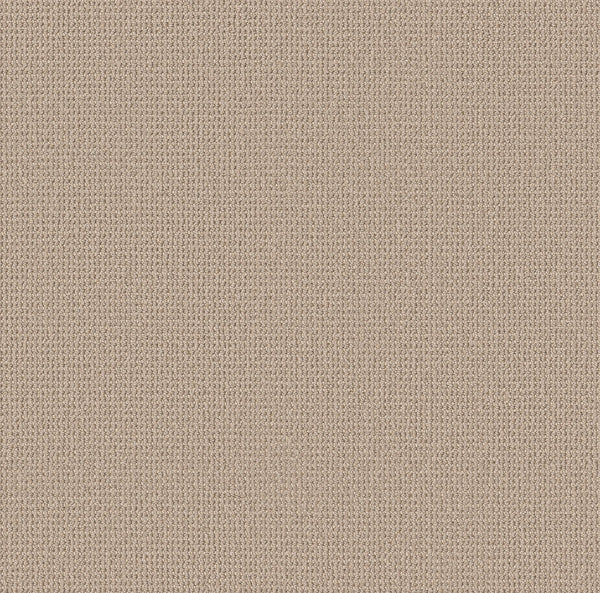 Close-up of Purrfection Beber Carpet in Polar Sky, showcasing its beige knitted fabric with a uniform, tightly woven plush texture and small, visible stitches for a luxurious look.