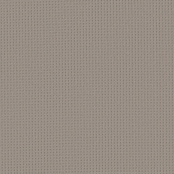 A close-up of San Lucas Family Friendly Carpet in Portico color highlights its beige ribbed fabric with vertical textured lines, featuring a detailed knit pattern—soft and uniform, ideal for high-traffic or family spaces.