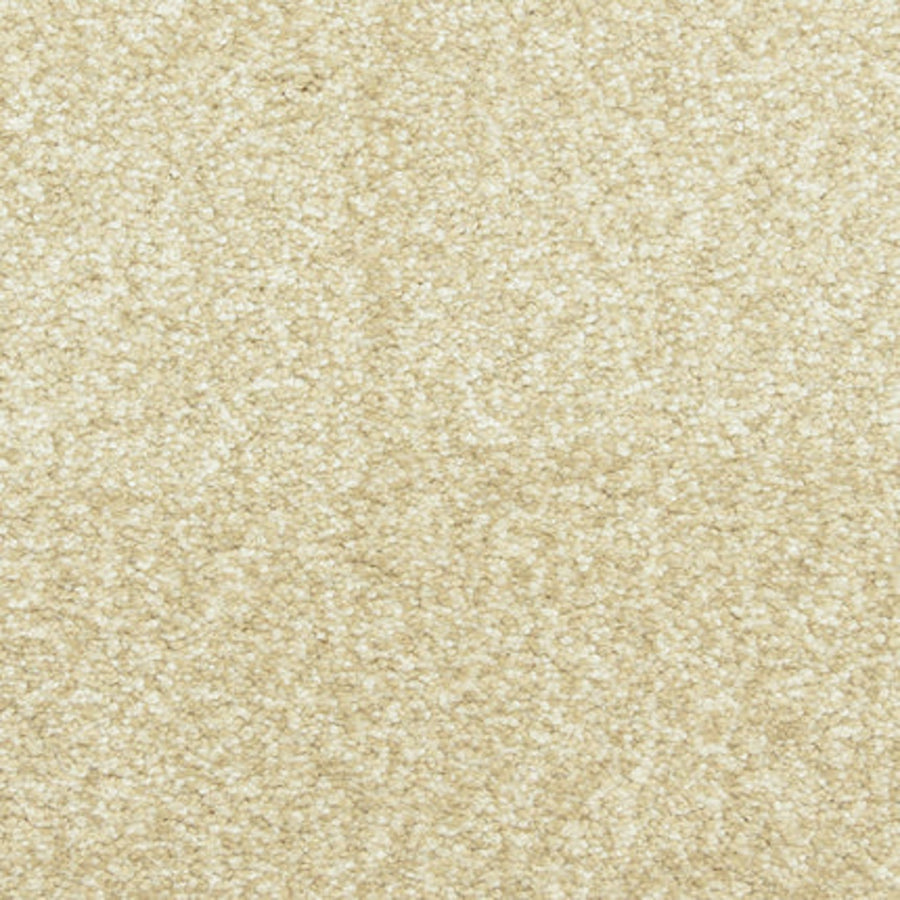 Close-up of Maroon Bells Family Friendly Carpet in Portico, featuring a beige hue with a softly textured, slightly fluffy surface and evenly distributed fibers for a comfortable, neutral look.