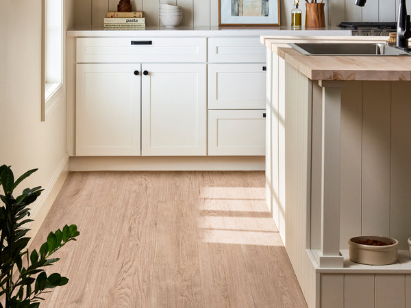 A bright kitchen with white cabinets, light wood flooring, a kitchen island with a wood countertop, and a plant in the corner. A pet food bowl is on the floor near the island.