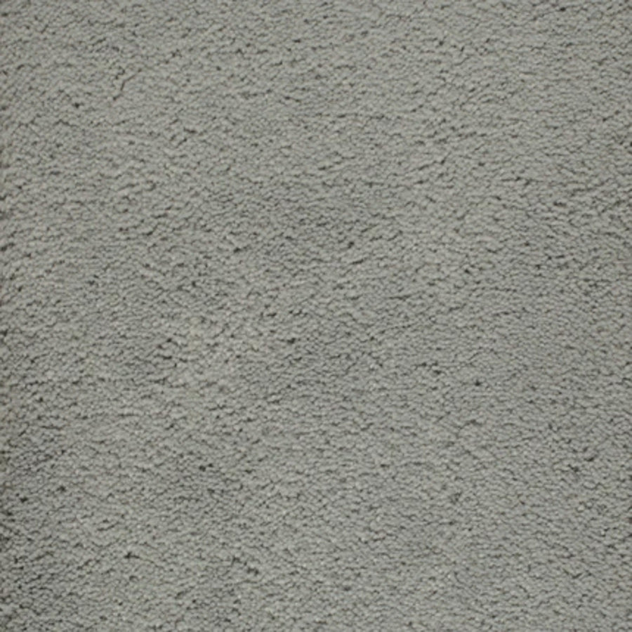 Close-up of Dolce Family Friendly Carpet in Prussian—a uniform light gray with a textured, slightly uneven surface. Resembling concrete or stucco, this carpet is ideal for high-traffic areas where durability matters.
