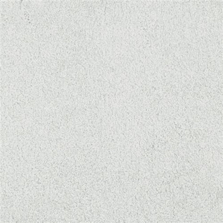 A close-up of Oceanside Family Friendly Carpet in Pure Essence color shows its soft, plush surface with subtle fibers and a uniform, family-friendly appearance.