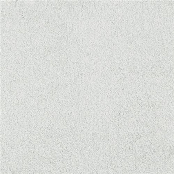 A close-up of Oceanside Family Friendly Carpet in Pure Essence color shows its soft, plush surface with subtle fibers and a uniform, family-friendly appearance.