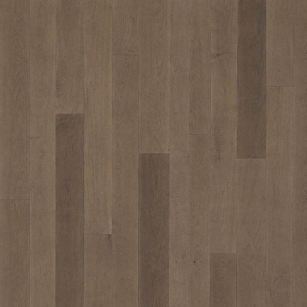 A close-up view of Pure Maple 4 1/4