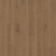 Pure Maple 4 1/4