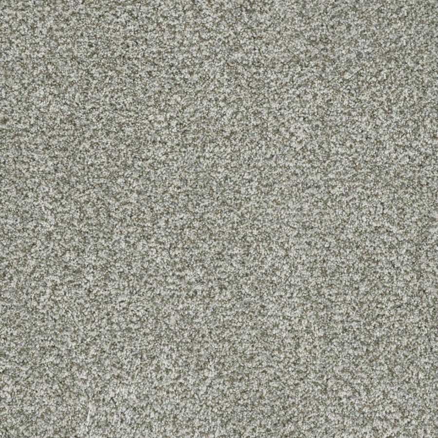 Close-up of Brazen II Pet Friendly Carpet in Purity color, featuring a soft, textured surface and dense, even pile—highlighting its premium quality for luxury flooring.